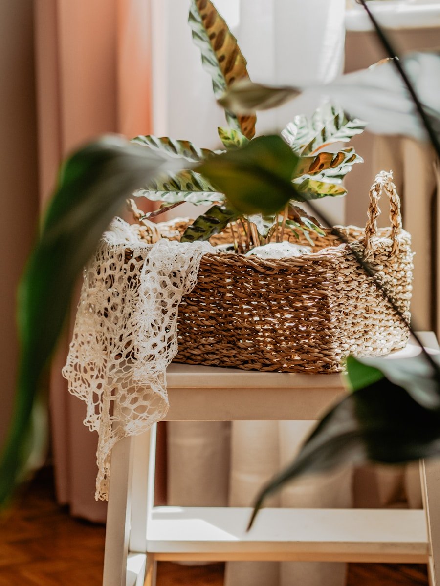 a basket sitting on a stool next to a window