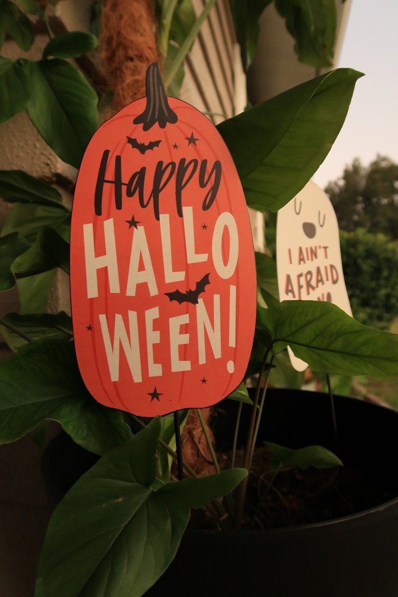Happy halloween decorations are displayed on plants.
