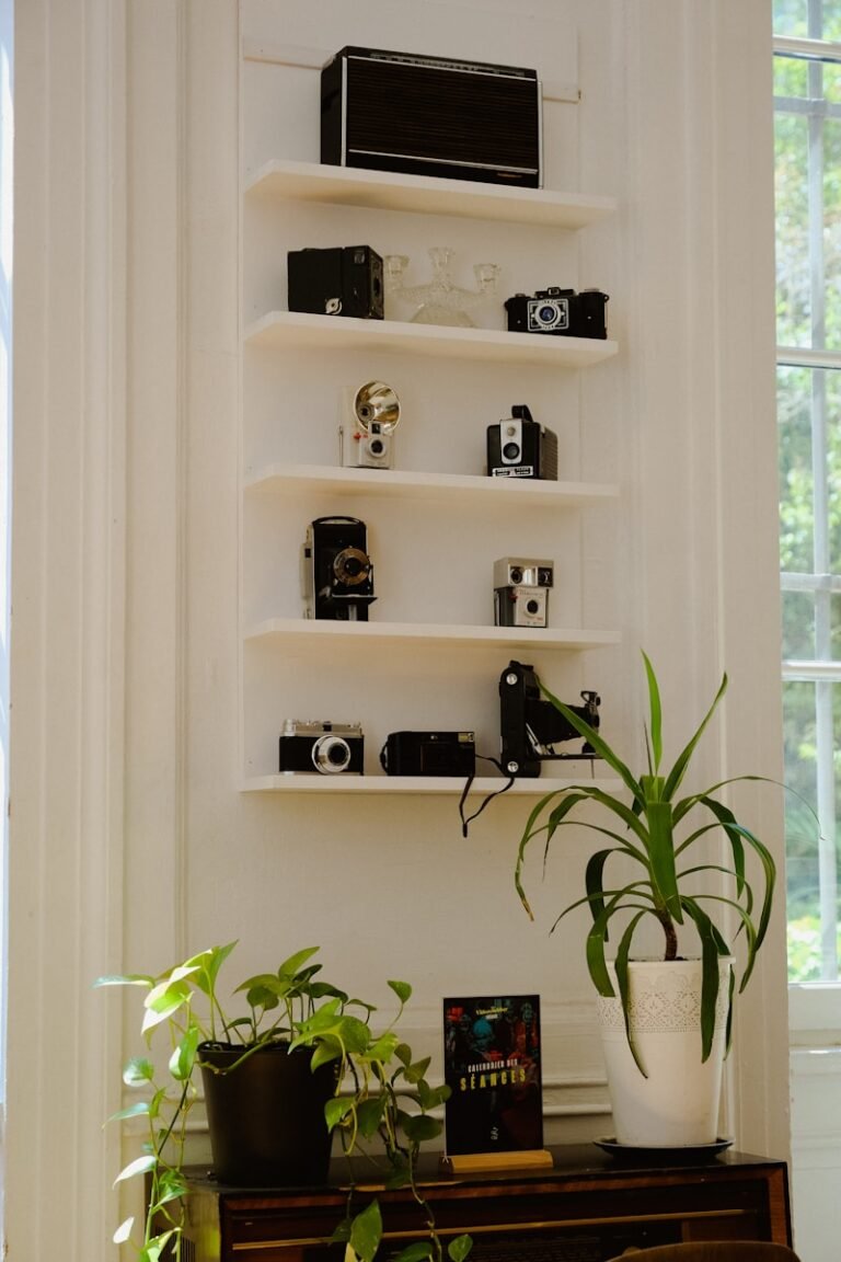 a white shelving unit with objects on it