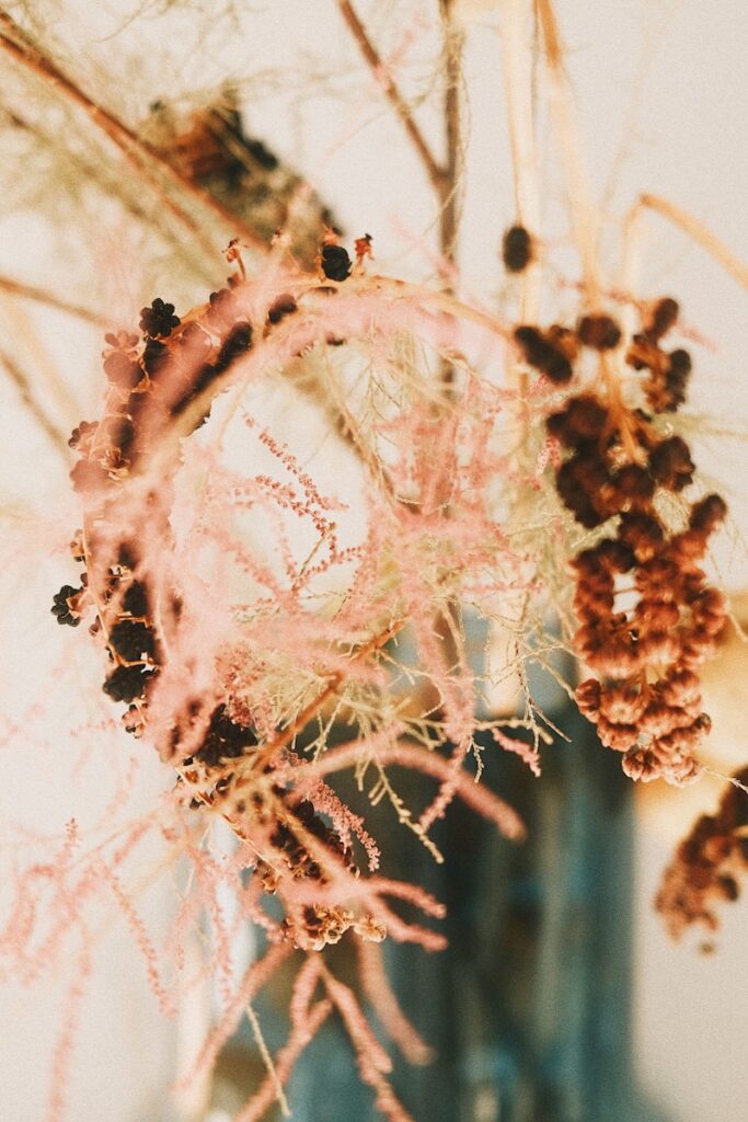 Delicate dried flowers in a blue vase