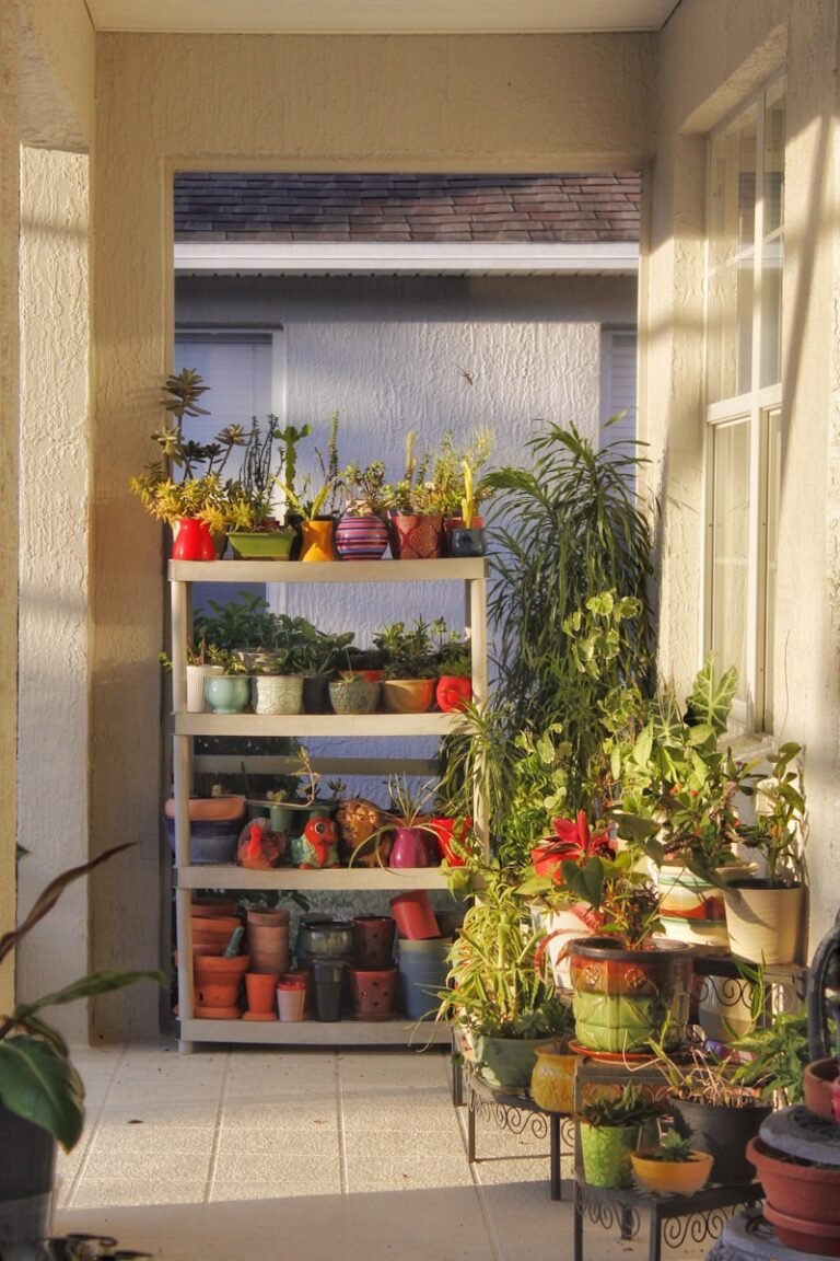 a window with potted plants
