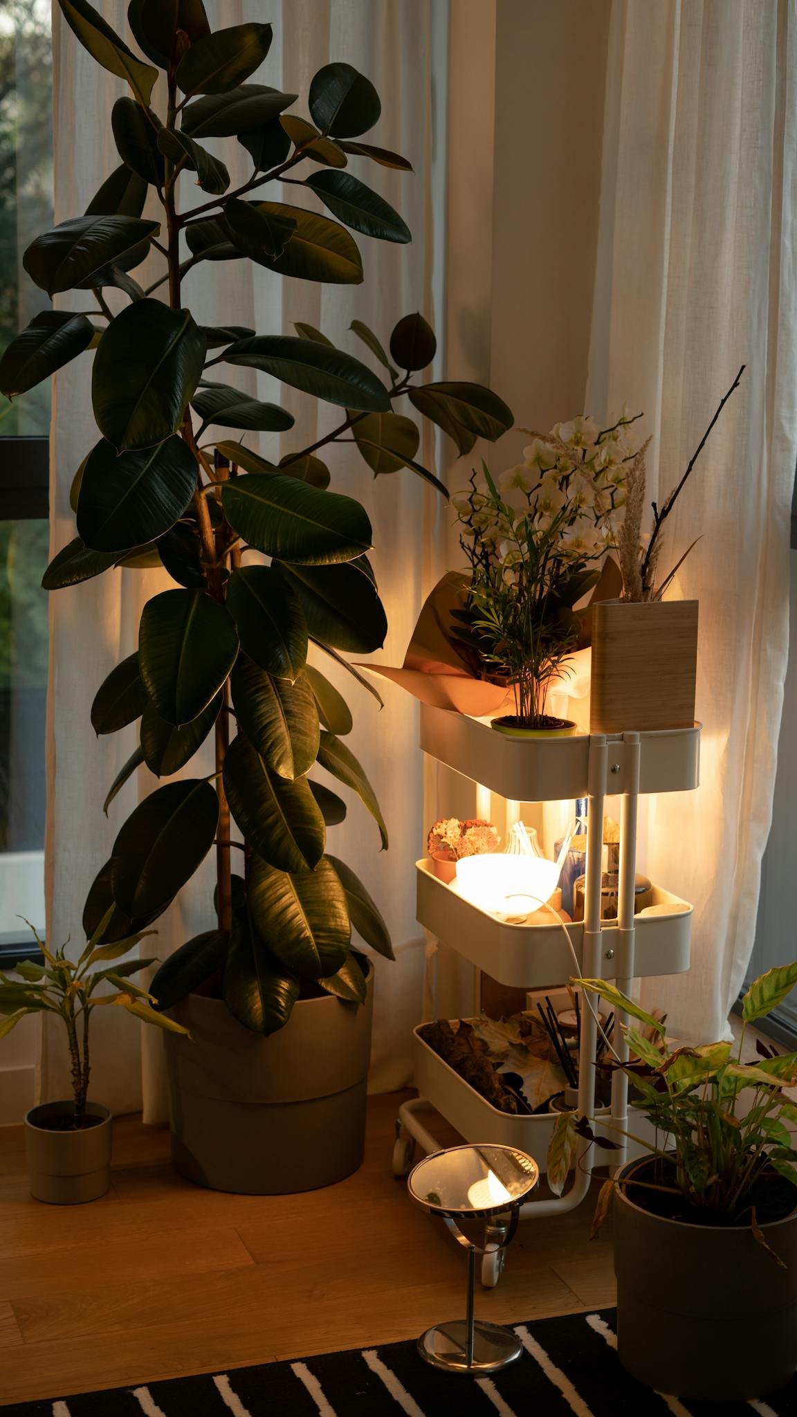 A tranquil indoor plant arrangement adds warmth to a Bucharest home interior.