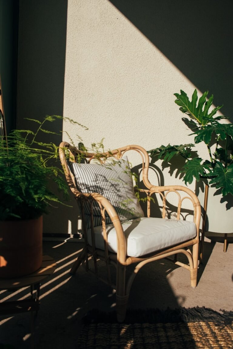 Rattan armchair with plants and sunlight