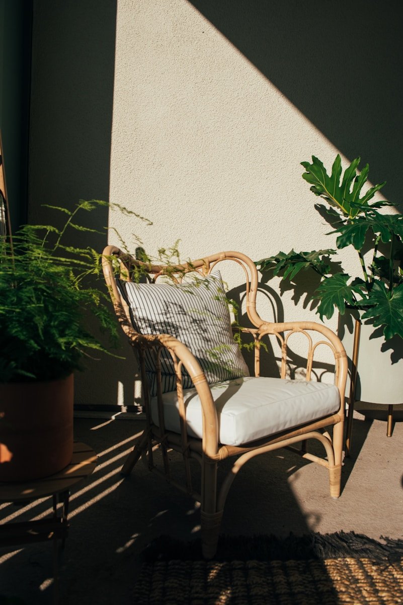Rattan armchair with plants and sunlight