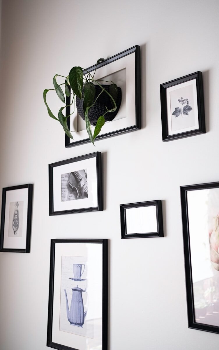 Framed artwork and a hanging plant on wall.